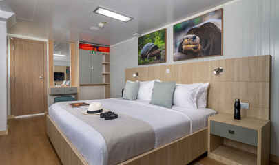 Upper Deck Suites