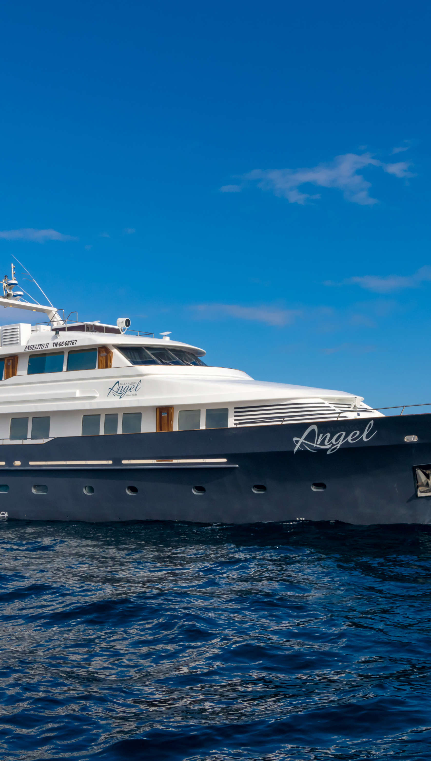 Galapagos Angel