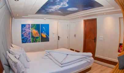 Main Deck Suites