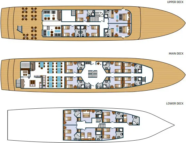 disposizione del ponte