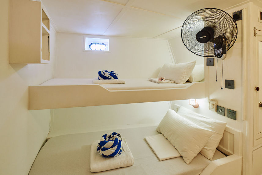 Standard Bunk Cabin - Horizon 2