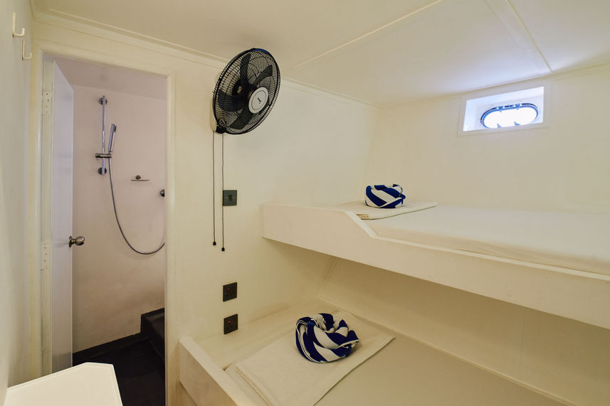 Standard Bunk Cabin - Horizon 2