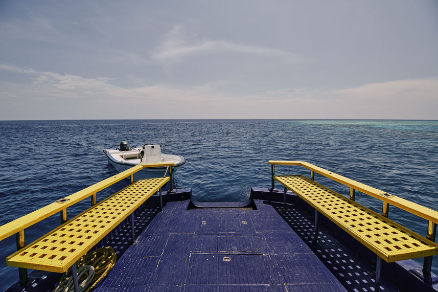 Diving Dhoni - Horizon 2