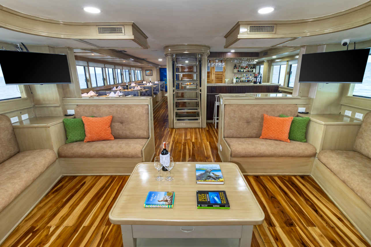 Bar en Lounge - Letty