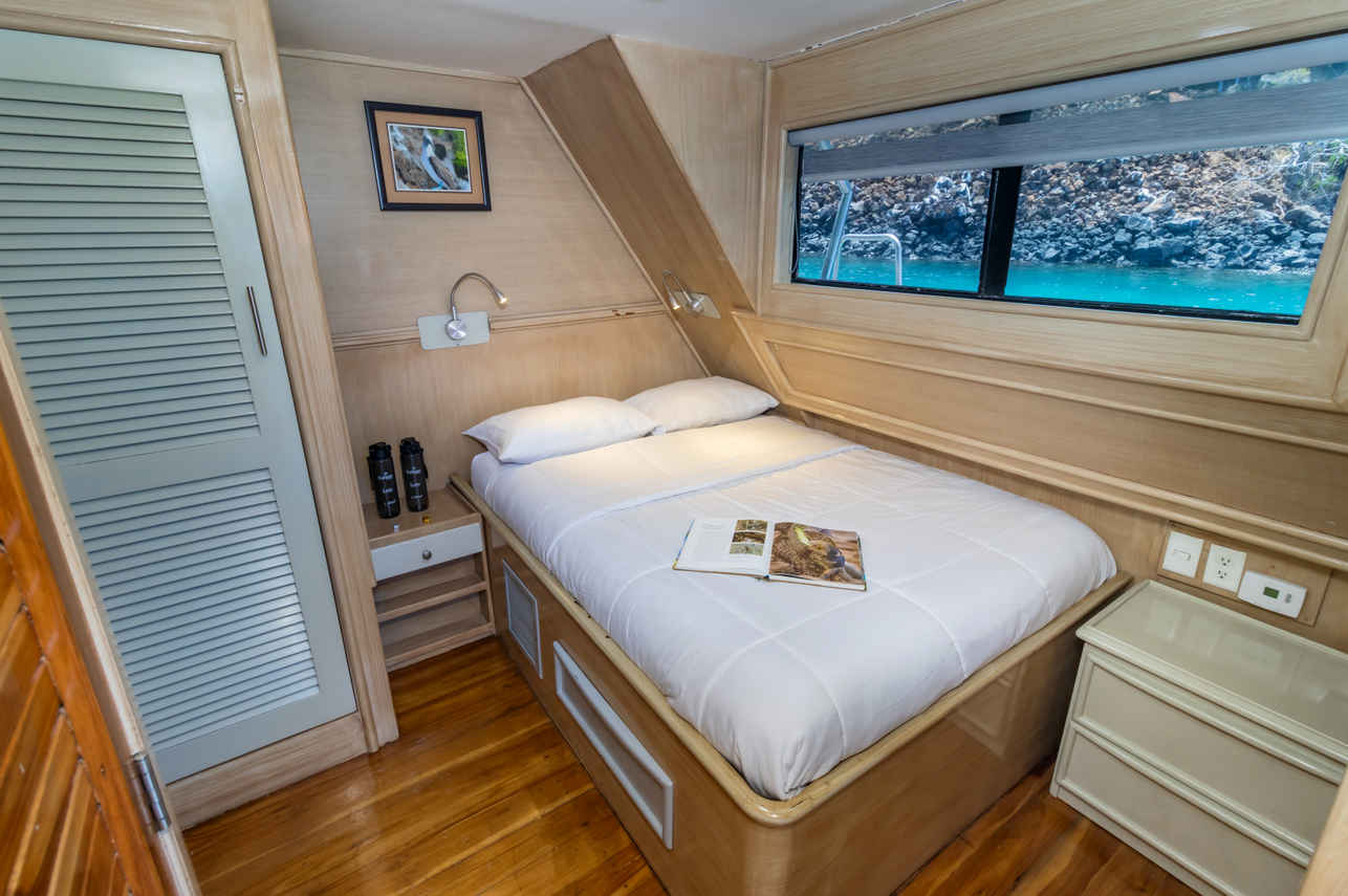 Hut op het bovendek - Letty