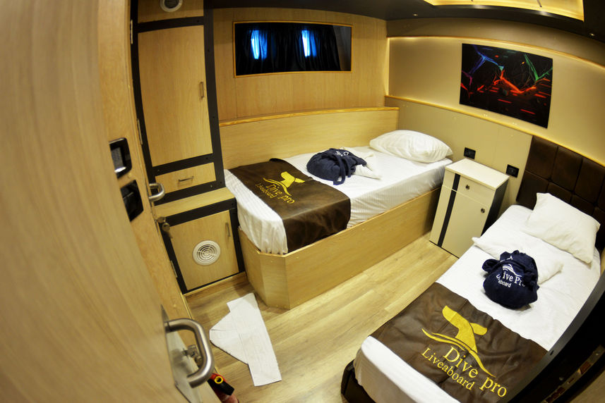 Lower Deck Cabin - Sea Pearl