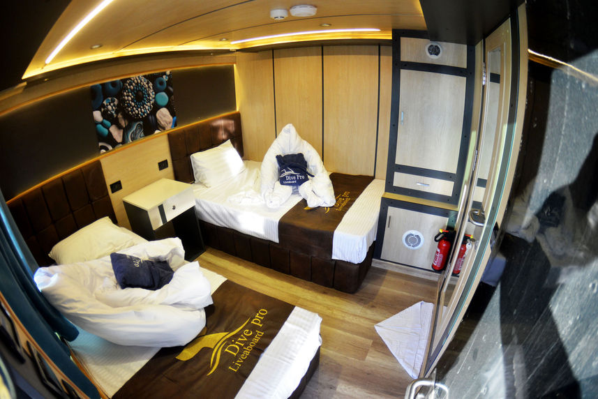 Cabine Dupla Solteiro - Sea Pearl