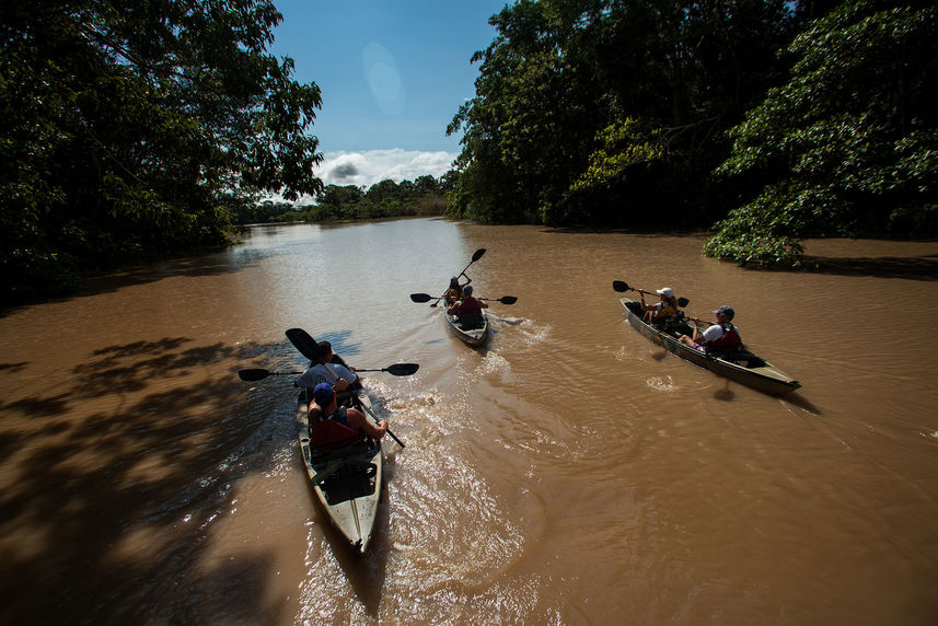 Kayaking - Delfin I