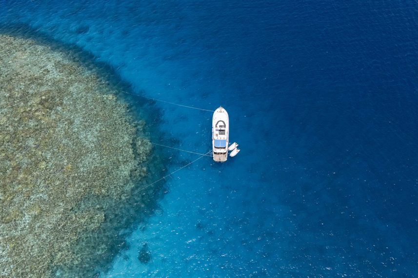 Aerial View - Amelie Adventures