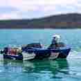 Botes p/ mergulho - Mandarin Queen 9