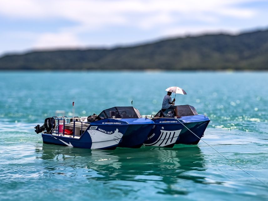 Bote auxiliar para buceo - Mandarin Queen 9