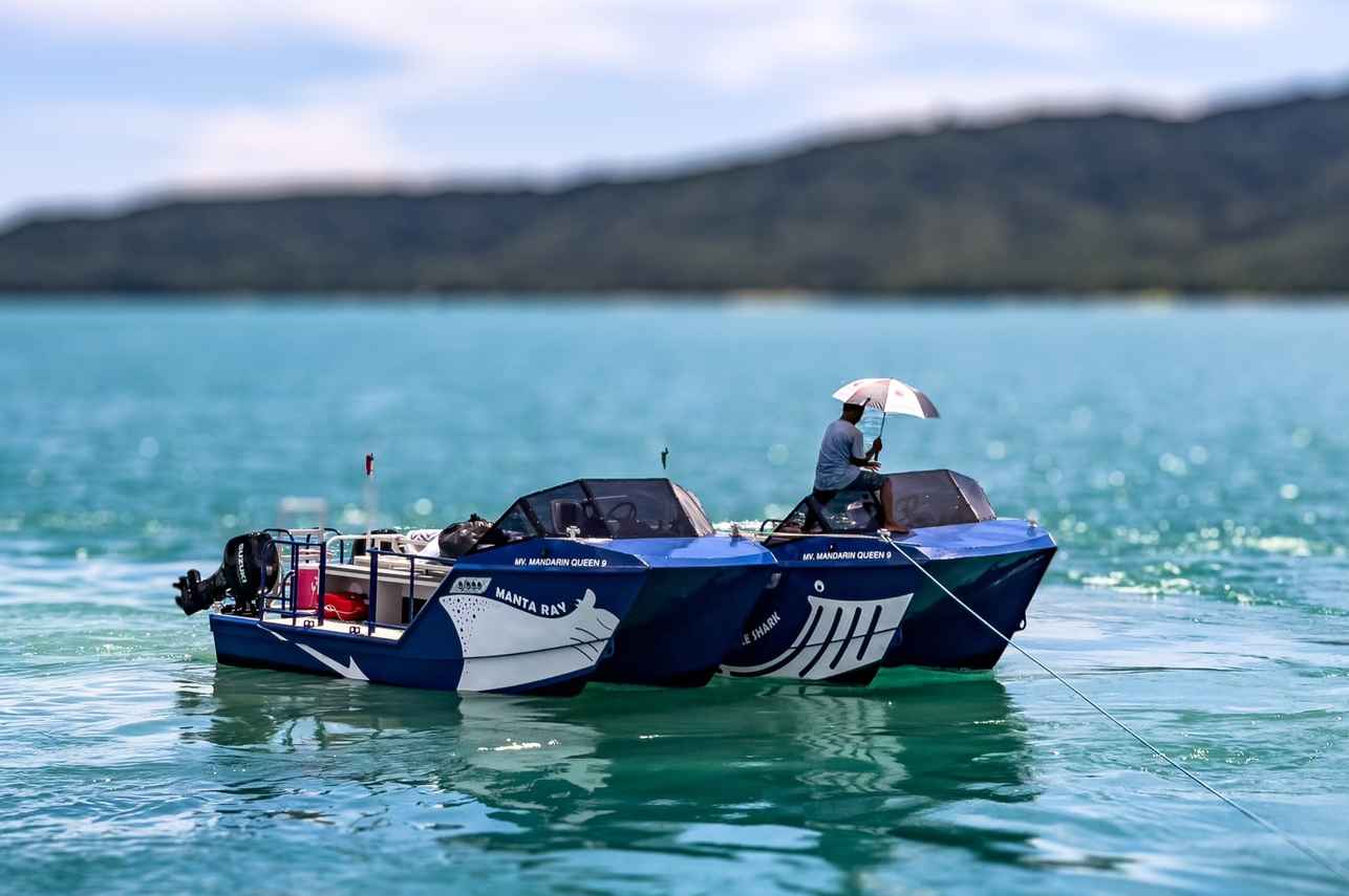 Botes p/ mergulho - Mandarin Queen 9