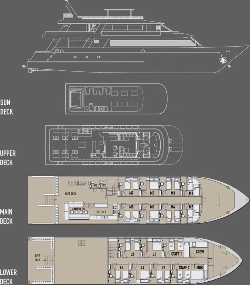disposizione del ponte