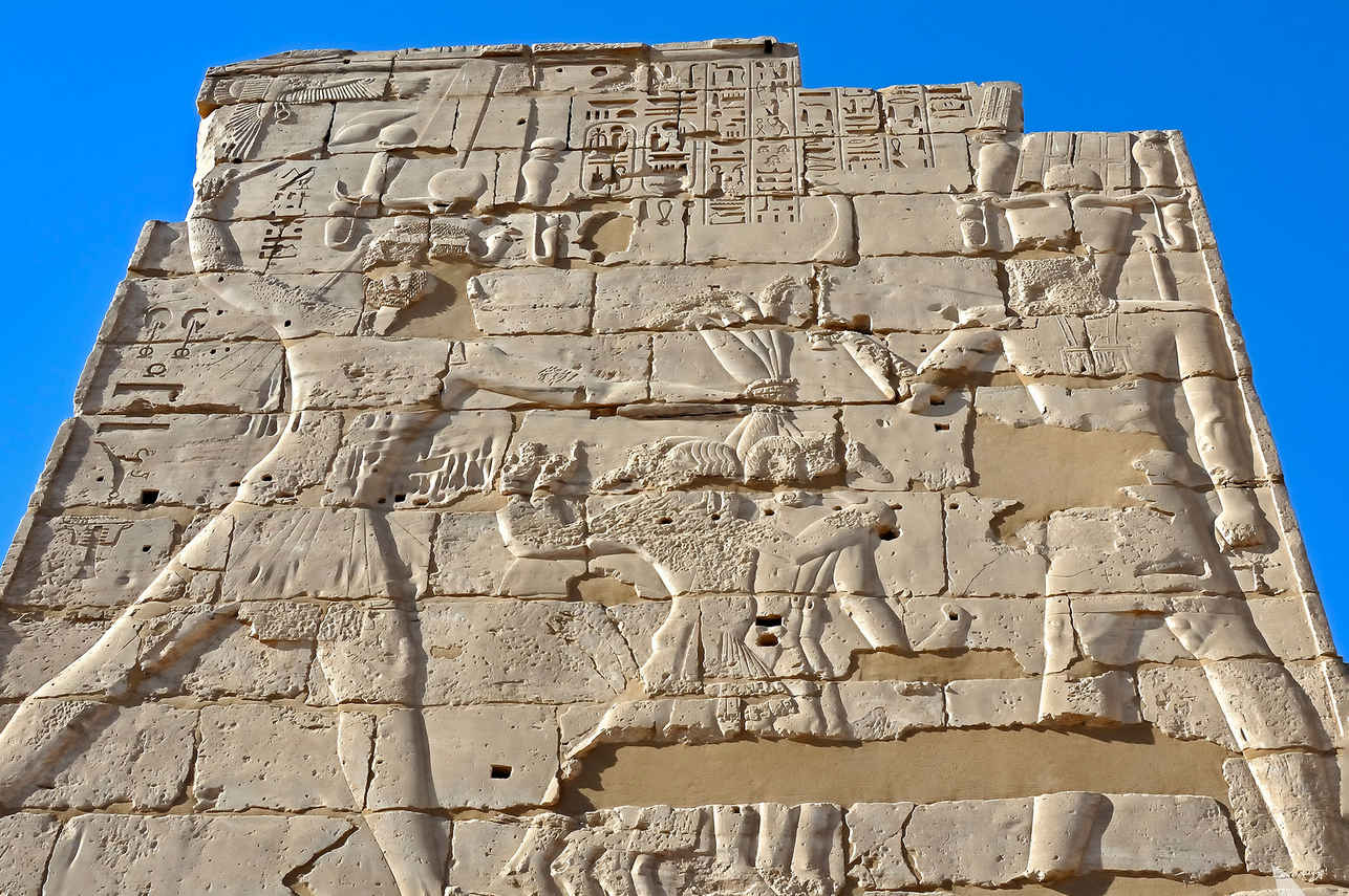 Excursions terrestres - Nile Queen II