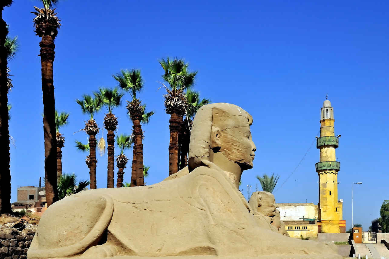 Excursions terrestres - Nile Queen II
