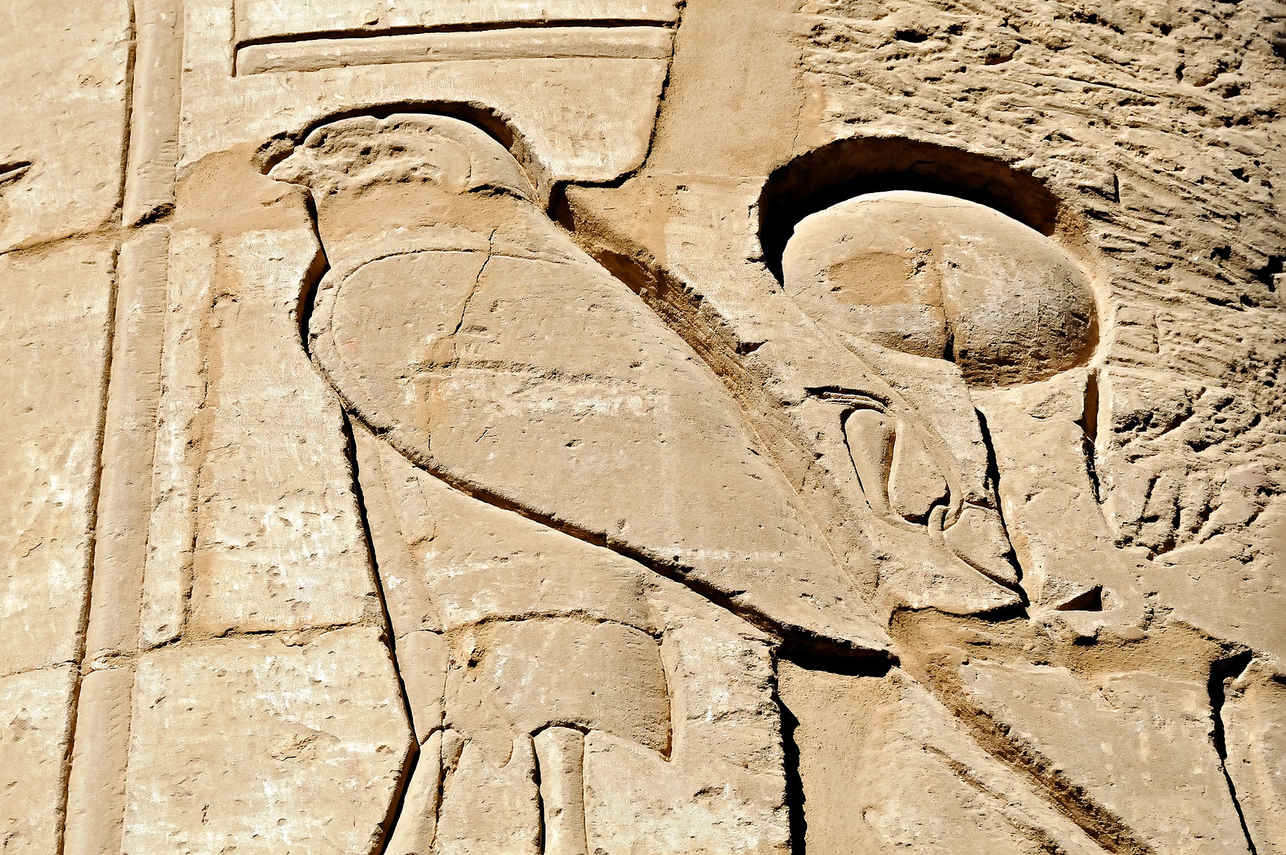 Excursions terrestres - Nile Queen II