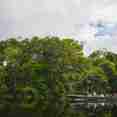 Amazon River