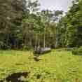 Amazon River