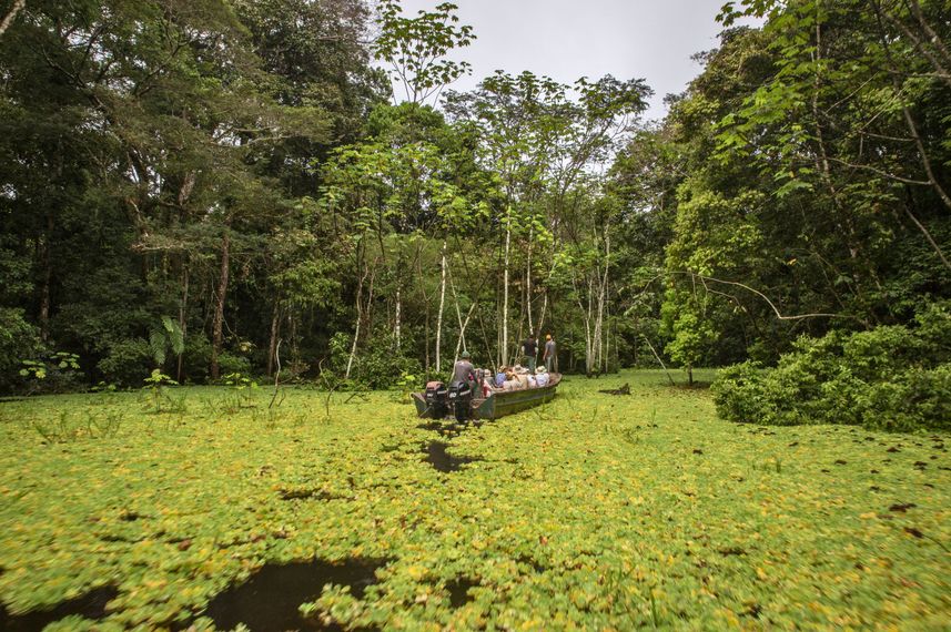 Amazon River