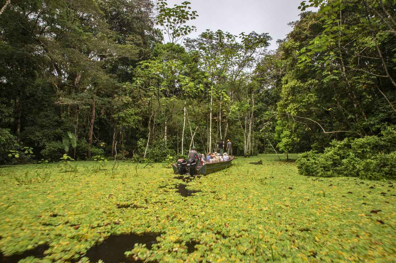 Amazon River