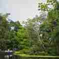 River Excursion
