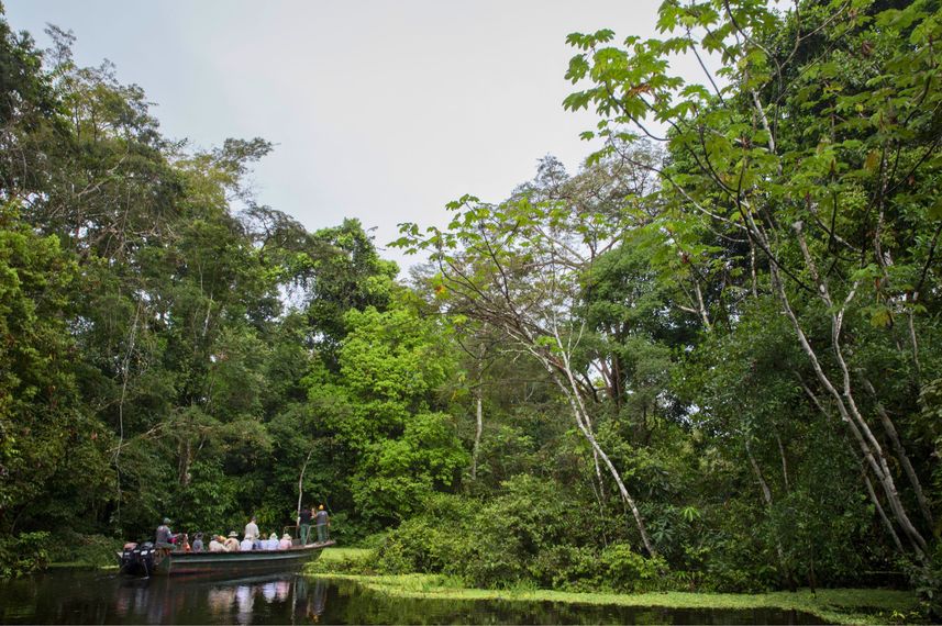 River Excursion