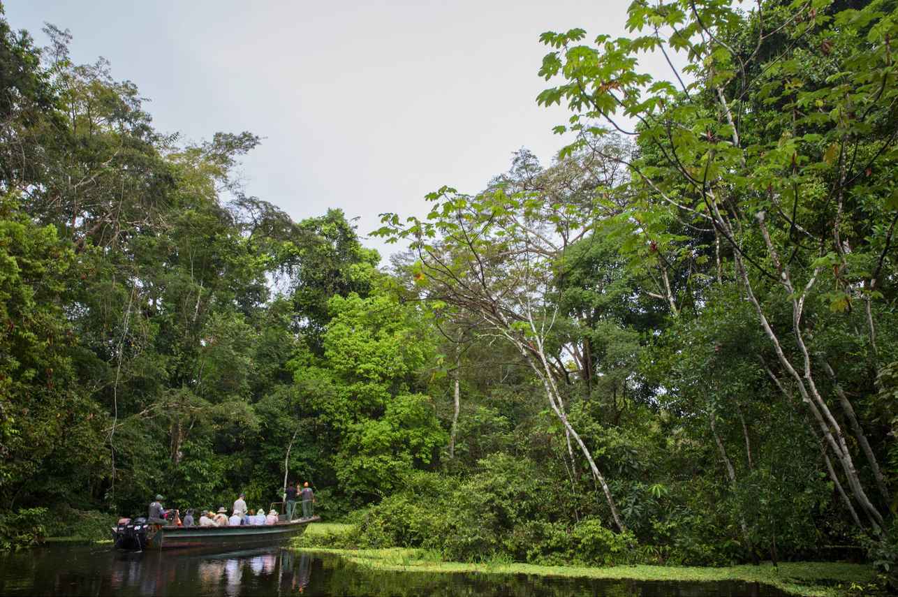 River Excursion