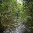 Swamp Exploration