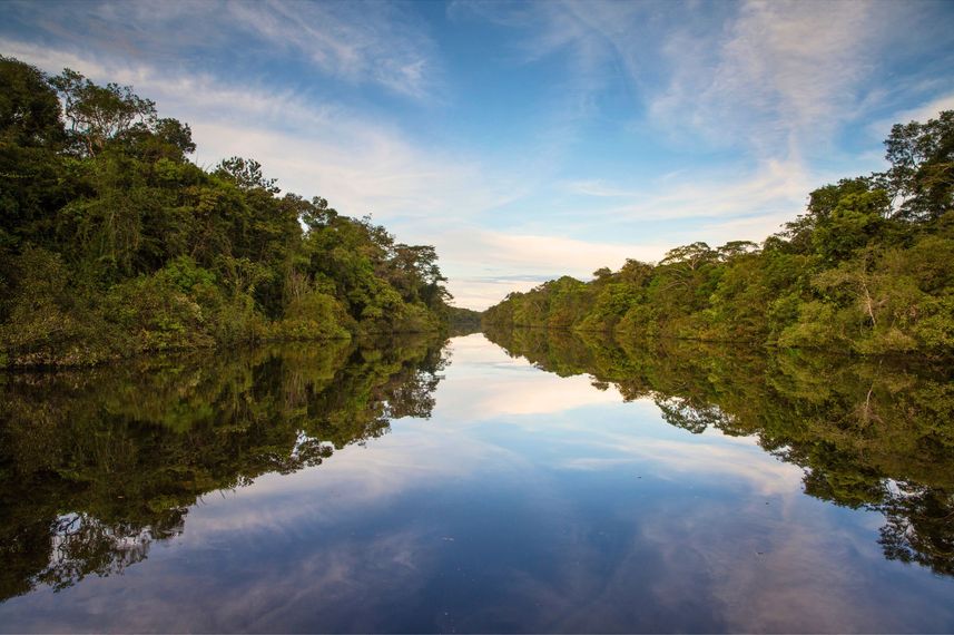 Amazon River
