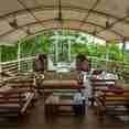 Observation Deck