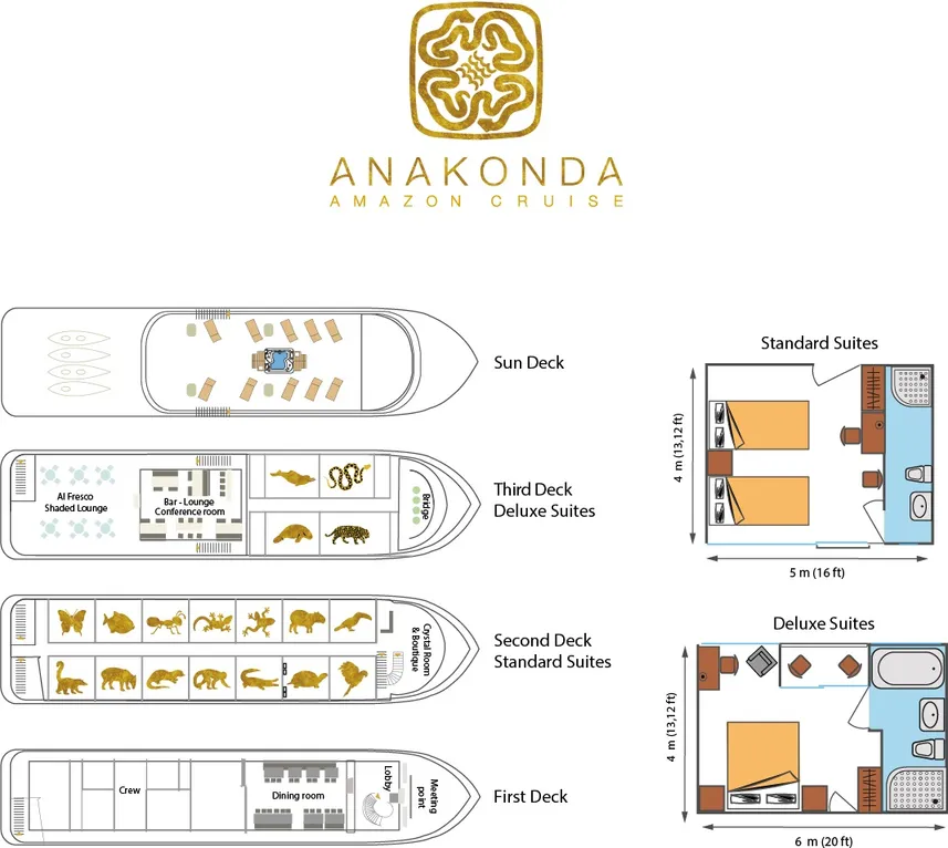 disposizione del ponte