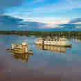 Delfin I