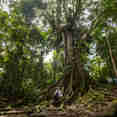Hiking - Delfin I
