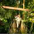 Amazon Canopy