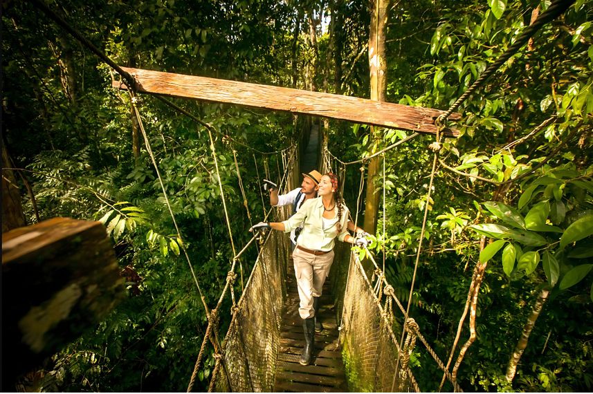 Amazon Canopy