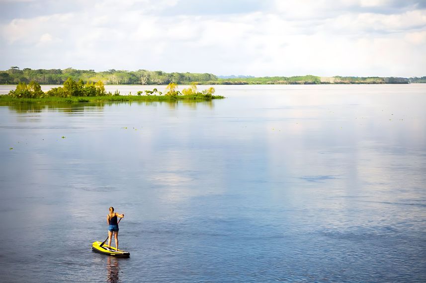 Paddle Board