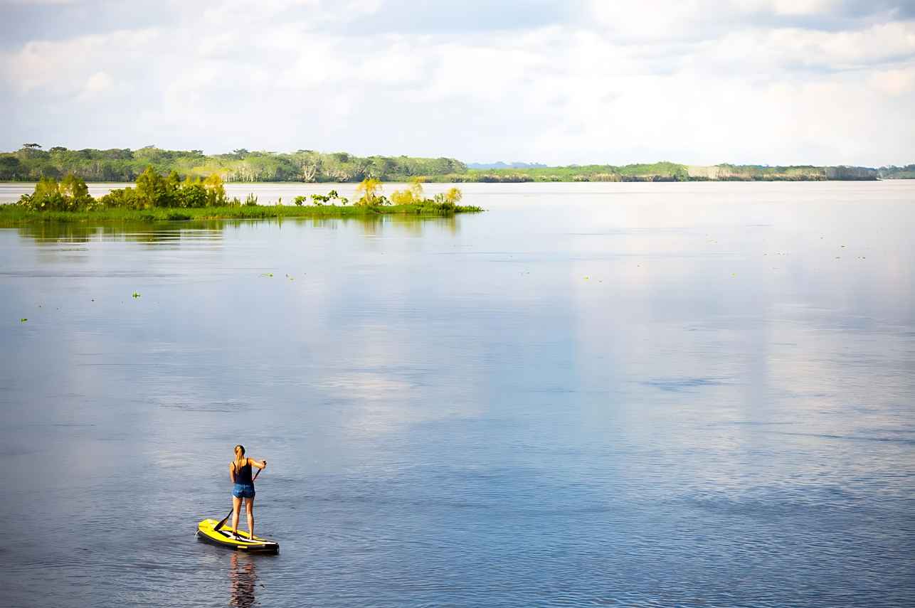 Paddle Board