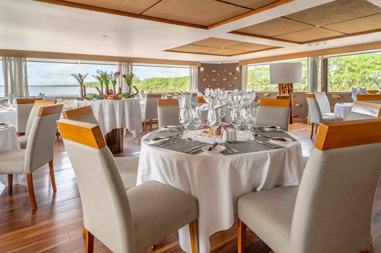 Comedor - Delfin III