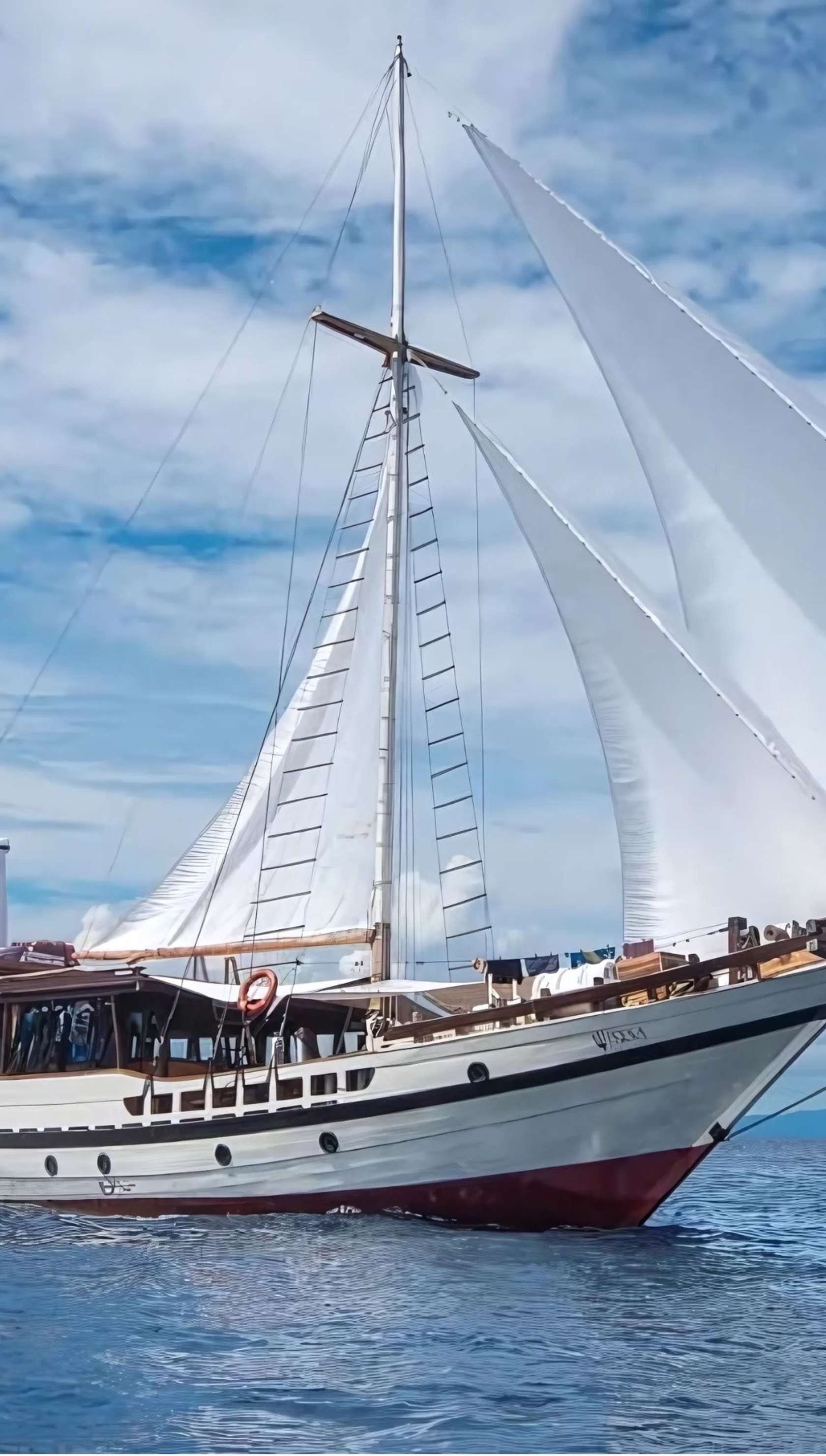 Wisesa Cruise