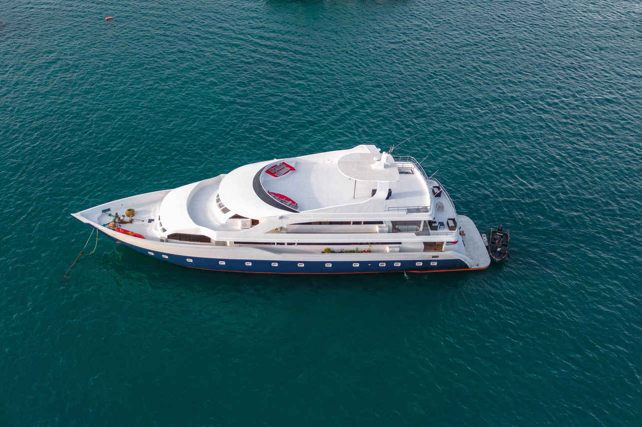 Searose II