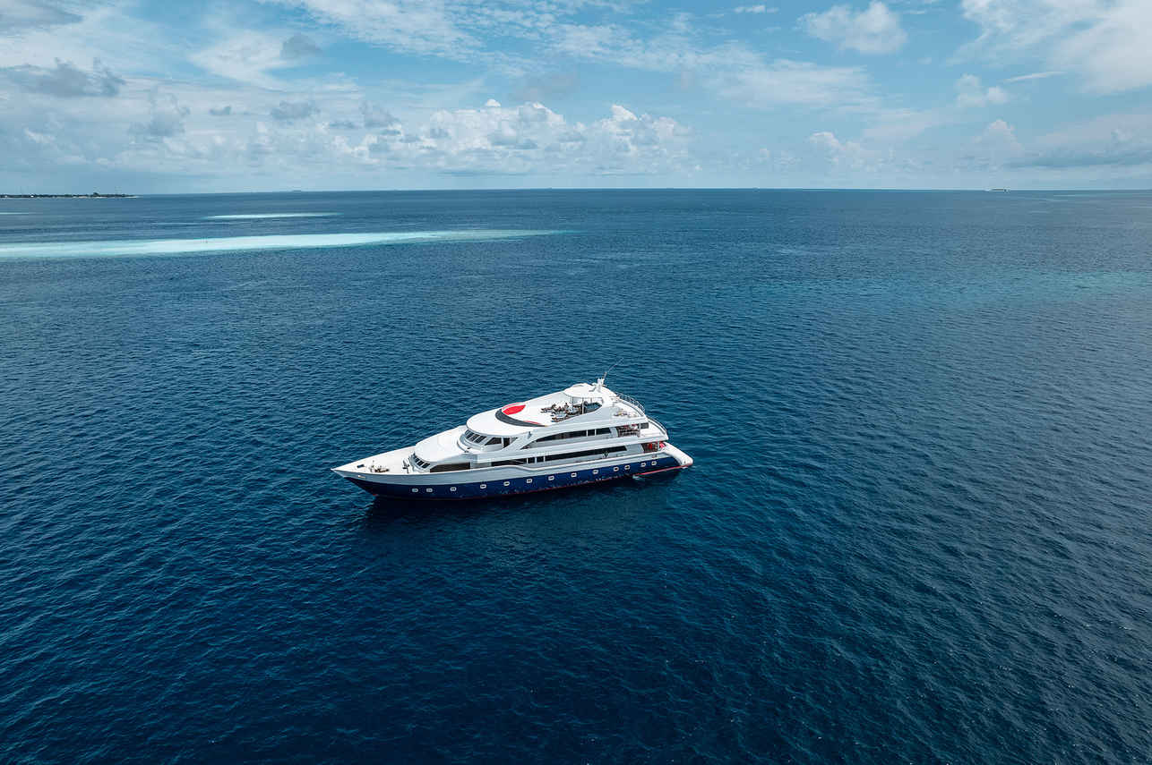Searose II