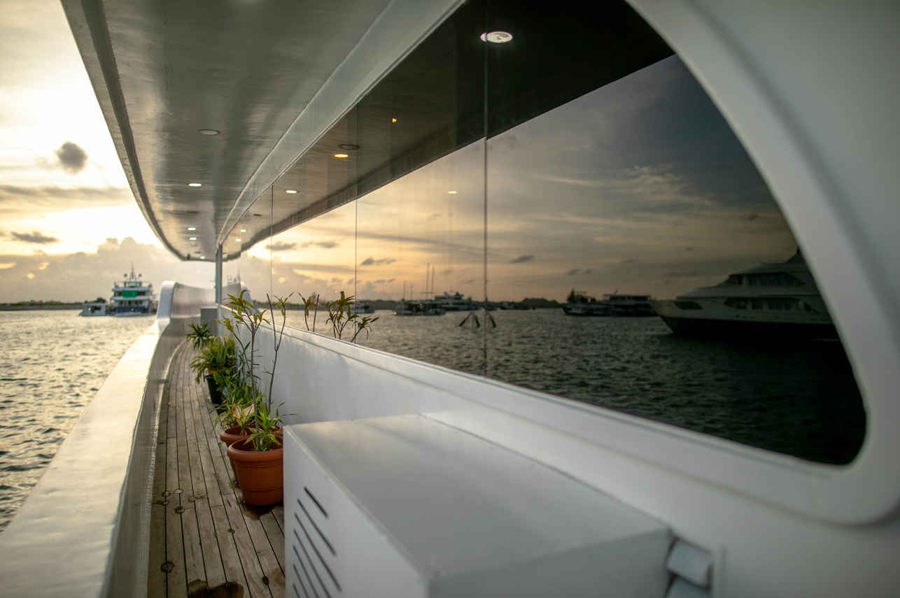 Searose II