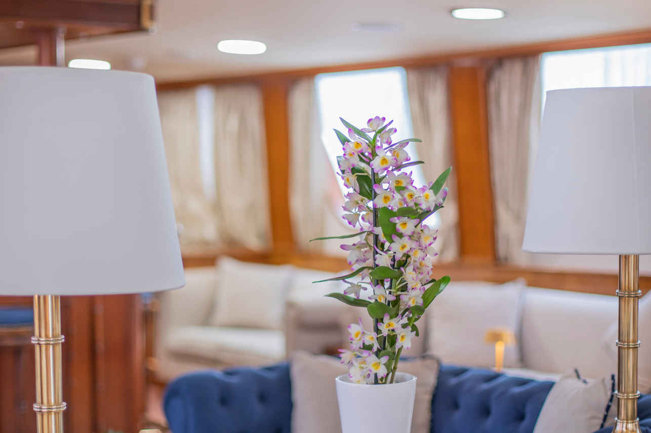 Салон - Callisto