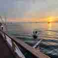 Sun Deck - Dancing Wind