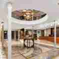 Reception - Nebu