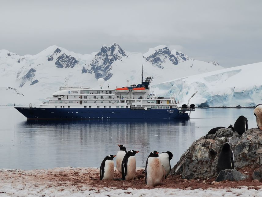 Sea Spirit Antarctica