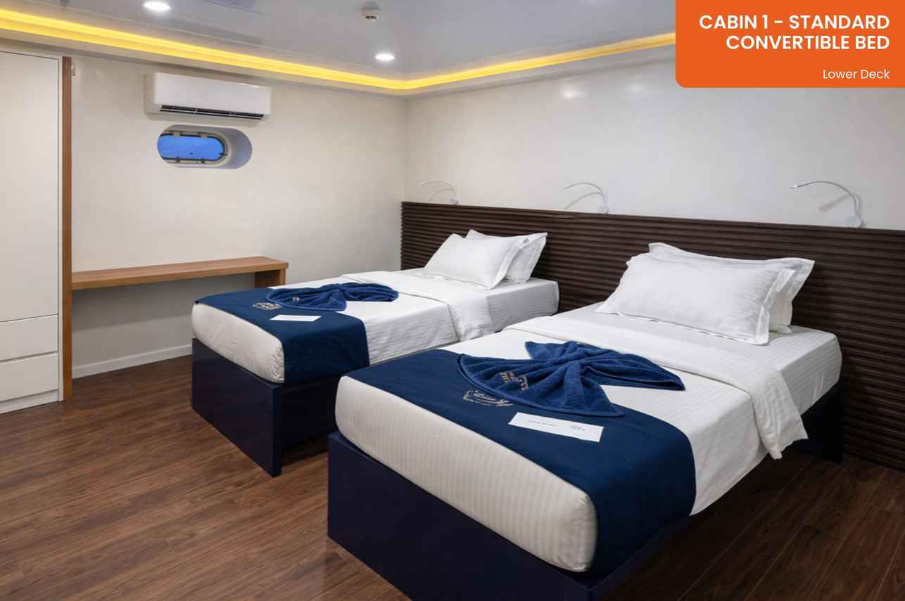 Cabin 1 - Standard Cabin - Convertible Bed - Lower Deck