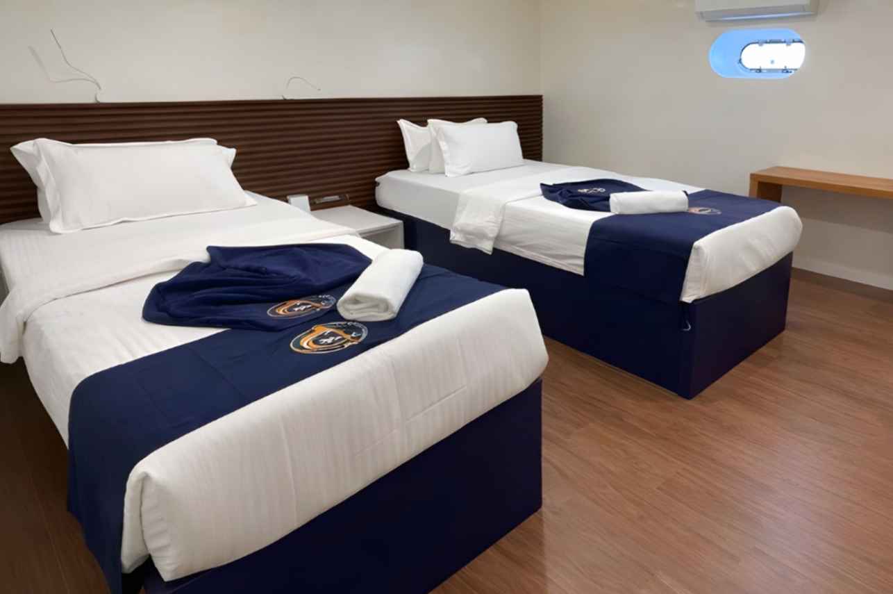 Cabin 4 - Standard Cabin - Convertible Bed - Lower Deck