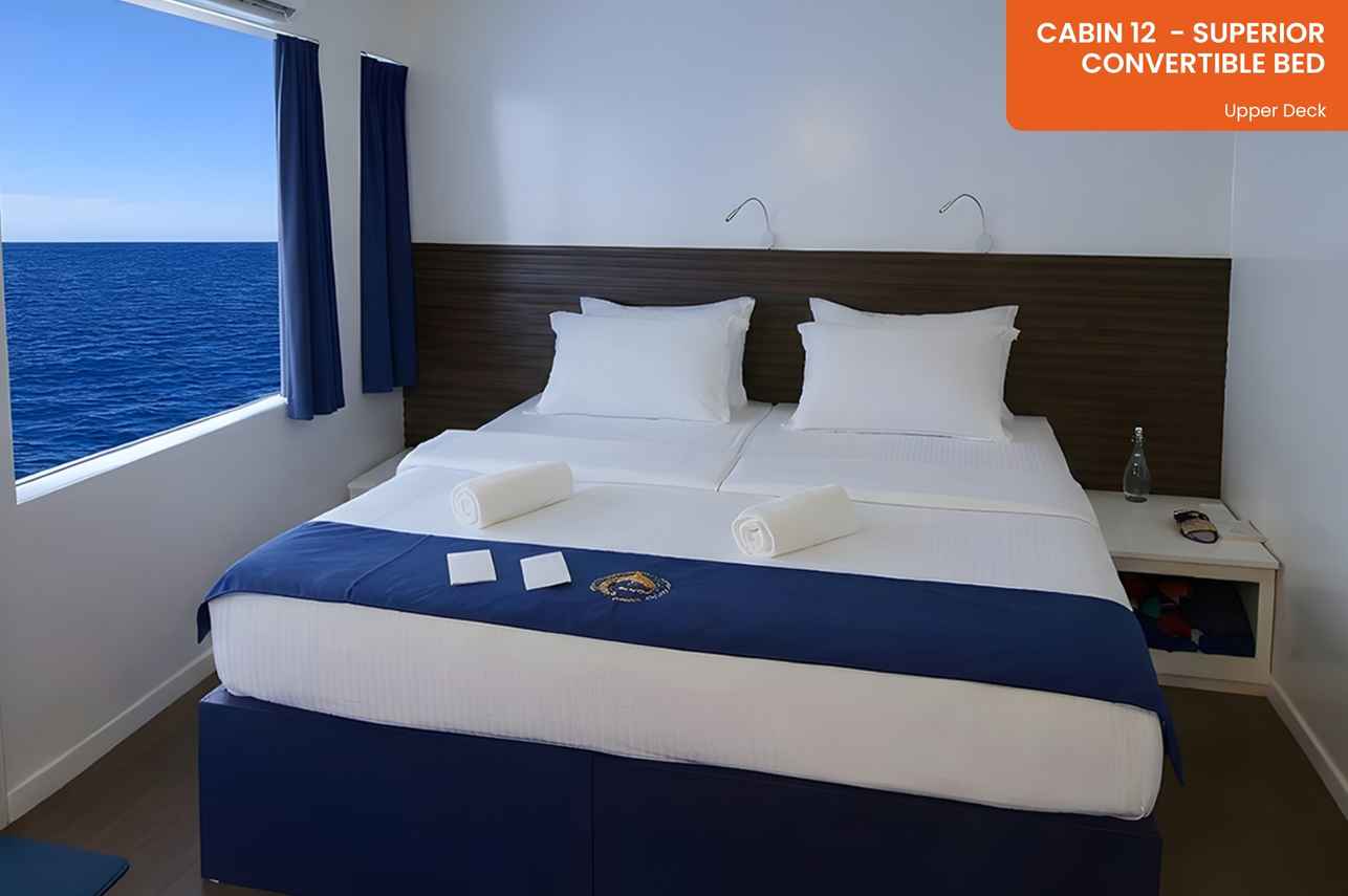 Cabin 12 - Superior Cabin - Convertible Bed - Upper Deck