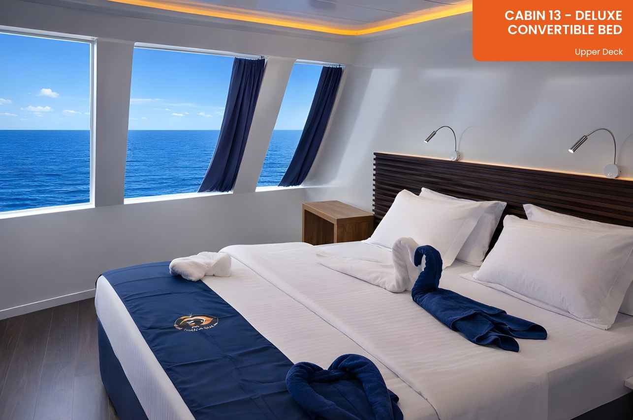 Cabin 13 - Deluxe Cabin - Convertible Bed - Upper Deck